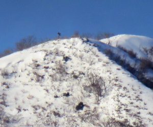 12/30　上蒜山8合目付近  まだ雪庇が出来るほどの積雪が有りません