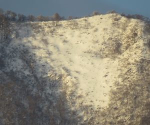 1/2 上蒜山山頂尾根