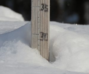 1/11 茅部野の積雪30㎝　高原は50㎝位　