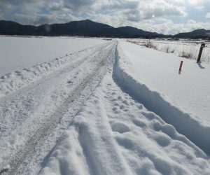 1/12 茅部の雪景色