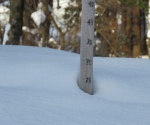 1/14 茅部野の積雪25㎝に沈む