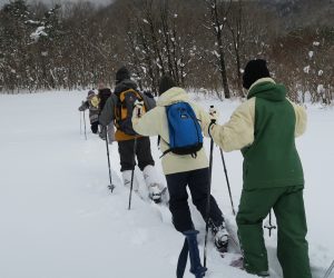 1/28 中蒜山山麓（塩釜冷泉）スノーシュウハイクガイド