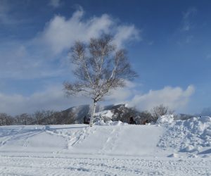 雪恋祭り2月3日　②白樺と上蒜山