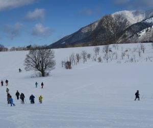 雪恋祭り2月4日　①バージンスノーを行く　中央左の大木はコブシ、右奥に上蒜山