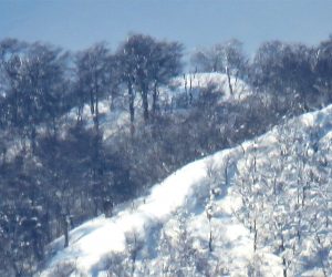 2/8 上蒜山三角点