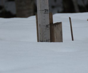 2/22茅部野の 積雪10㎝