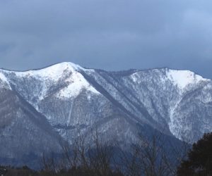 2/22 上蒜山　茅部野より