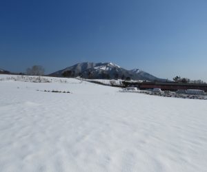 2/23 上、中蒜山　　下蒜山は中蒜山の後ろに隠れています、酪大牧草地にて