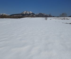 2/23 二股山、皆ヶ山、アゼチ、左の隅に大山がチラリと見えます。酪大牧草地にて