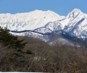 2/23 大山、烏ヶ山　烏ヶ山は山陰のマッターホルンの呼び名があります、酪大牧草地にて