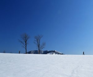 2/23 上蒜山　酪大放牧地より