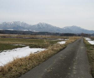 2/28 雪の消えた茅部野より蒜山三座を望む