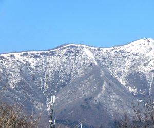 3/2  上蒜山  新雪が少し積りました。