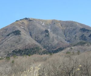 3/14　中蒜山　上蒜山南麓の牧草地より