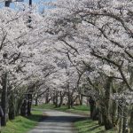 【ひるぜん日記】4月上旬