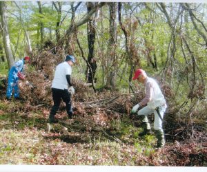 2登山道整備　倒木の撤去