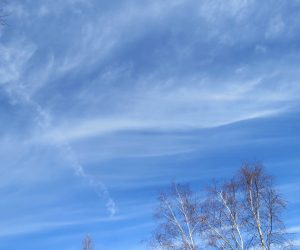 3/24 筋雲（巻雲）に交差するように飛行機雲（こちらも巻雲）が