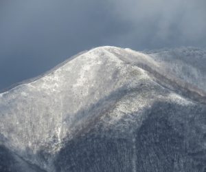 4/8　上蒜山8合目付近  雪化粧生した上蒜山