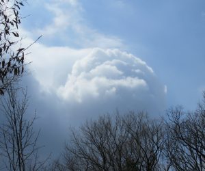 4/8　積雲  発達中の積雲、この雲の下は雪？