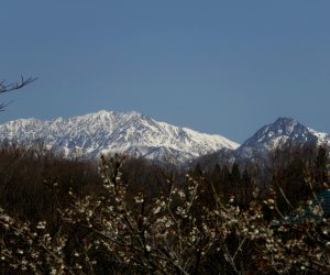 4/10　新雪の大山、烏ヶ山