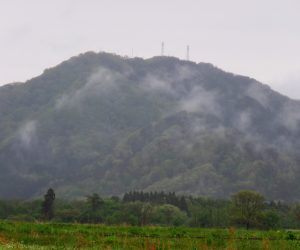 5/7 高張山  蒜山盆地に突き出たこの山はテレビ塔が立っていて蒜山地域のかなめ 茅部野西部より