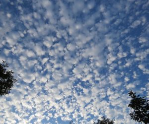 9/5　鰯雲より大きいのでサバ雲？もっと大きければ羊雲  巻積雲です