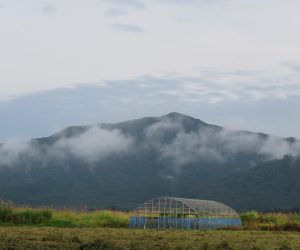 蜂ヶ巣山