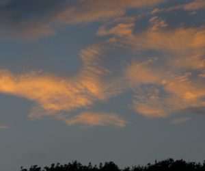 10/9　巻雲の夕焼け