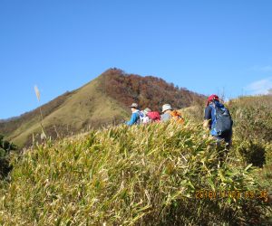 下蒜山笹原