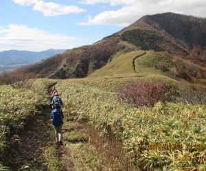 中蒜山への縦走路