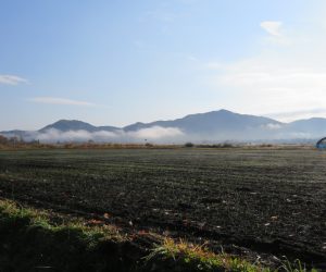 11/18 朝の高張山（左）と蜂ヶ巣山（右） 茅部野にて、朝霧が蒜山盆地の底へと消えて行きます。