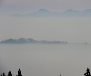 11/21 久し振りの雲海 雲海に浮かぶ島