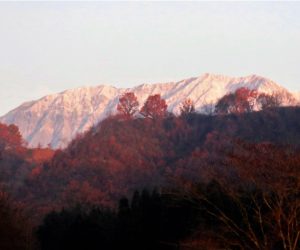 11/21  朝日を浴びる雪の大山南壁