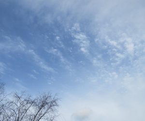 12/1　秋の空