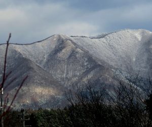 12/10 雪化粧の上蒜山  2度目の雪化粧　茅部野より