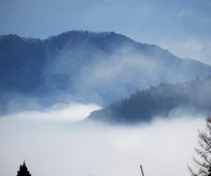 12/10  蒜山盆地の雲海 茅部野より上長田方面 上長田方面の雲海はチョクチョク見ることが出来ます。