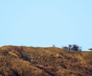 12/10 中蒜山山頂付近  上蒜山はかなり白くなっているのに中、下蒜山はあまり積もっていません。 茅部野より