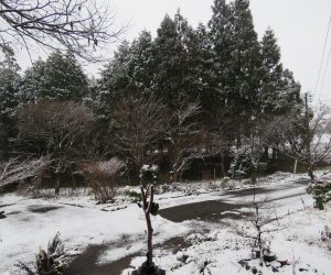 12／14　蒜山盆地がうっすら雪化粧