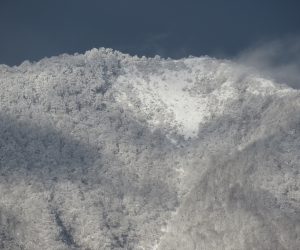 12／15　上蒜山山頂付近