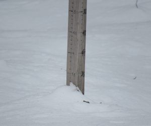 3１日　積瀬戸３０㎝、雪はかなり降ったのですが昨日よりマイナす。