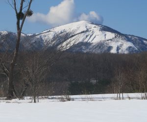 1/14  三平山　酪大牧草地にて