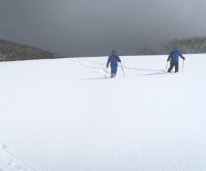 中蒜山山麓スノーシュー　雪原の向こうからスノーシュウハイカー