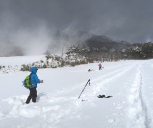 中蒜山山麓スノーシュー　我々のトレース、一人穴に落ち込み救助に向かう(雪に埋もれているのも演出）