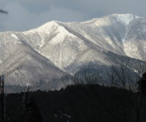 １/2 上蒜山