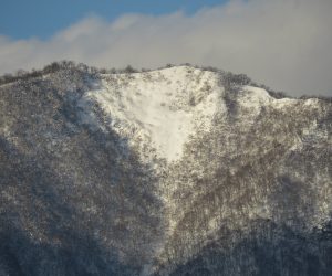 １/3 上蒜山山頂付近