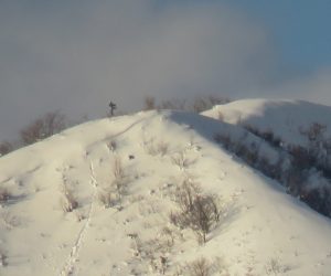 １/3 上蒜山8合目付近