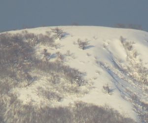 １/3 下蒜山山頂