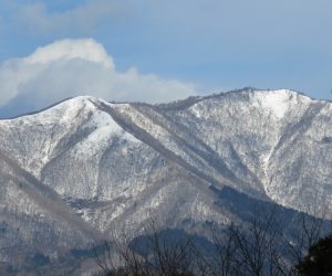 1/19  上蒜山