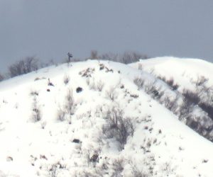 1/19  上蒜山8合目付近　積雪はあまり多くないようです。 雪庇が発達していないのは今年は風が弱いからもあるでしょう。