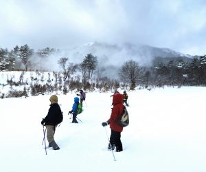 1/26　前日からの降雪で雪煙が上がる 一晩で30㎝位の積雪スノーシュウハイキング無事開催、ほっとしました。